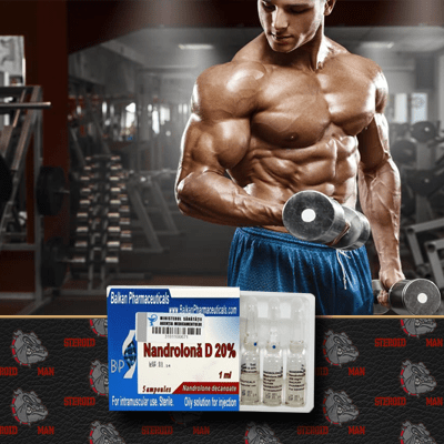 нандролон деканат купить нандролон деканат купить